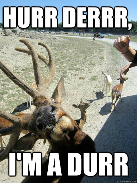 Hurr derrr, I'm a durr - Hurr derrr, I'm a durr  Deer Durp
