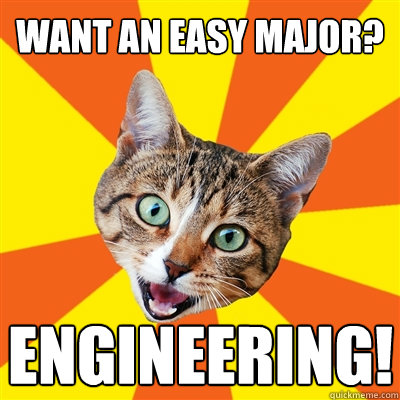 Want an easy major? Engineering!  Bad Advice Cat