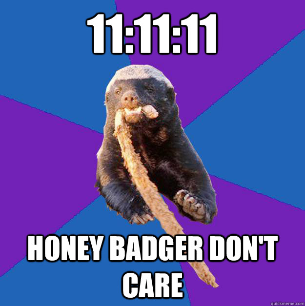 11:11:11 honey badger don't care - 11:11:11 honey badger don't care  Honey Badger Dont Care