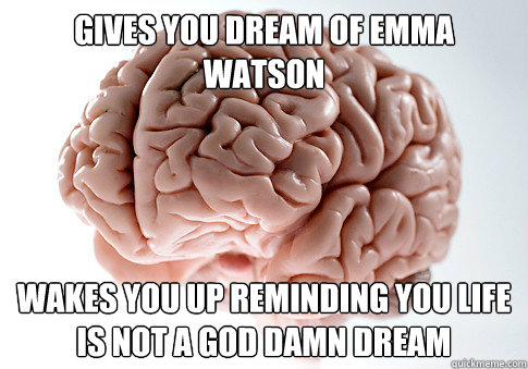 Gives you dream of Emma Watson Wakes you up reminding you life is not a god damn dream  Scumbag Brain