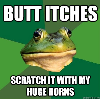 butt itches scratch it with my huge horns - butt itches scratch it with my huge horns  Foul Bachelor Frog