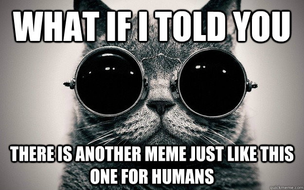 what if I told you there is another meme just like this one for humans - what if I told you there is another meme just like this one for humans  Morpheus Cat Facts