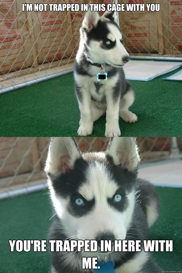 I'm not trapped in this cage with you
 you're trapped in here with me.  Insanity puppy