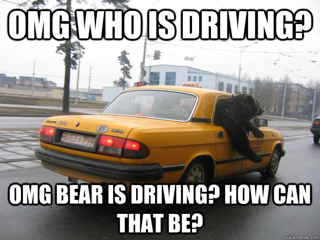 OMG who is driving? omg bear is driving? how can that be?  