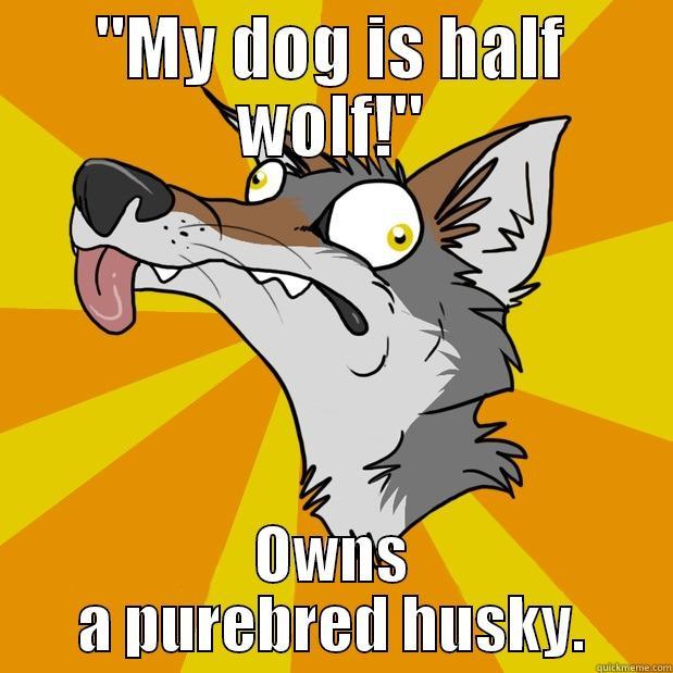 Wolfaboo Idiocy - 