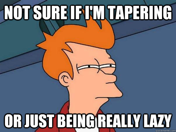 Not sure if I'm tapering Or just being really lazy - Not sure if I'm tapering Or just being really lazy  Futurama Fry