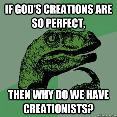 if god's creations are so perfect, Then why do we have creationists? - if god's creations are so perfect, Then why do we have creationists?  Philosiraptor