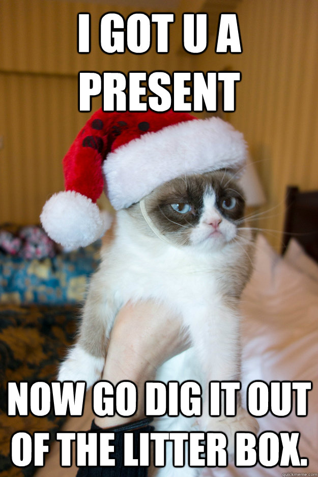 i got u a present now go dig it out of the litter box.  Grumpy xmas