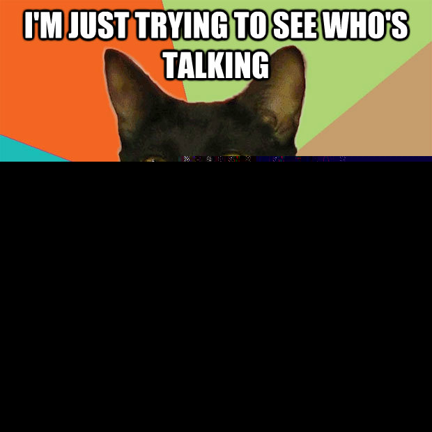 I'm just trying to see who's talking so i can send them out of the room  Business Cat