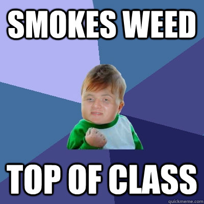 Smokes weed Top of class  10 Success Kid