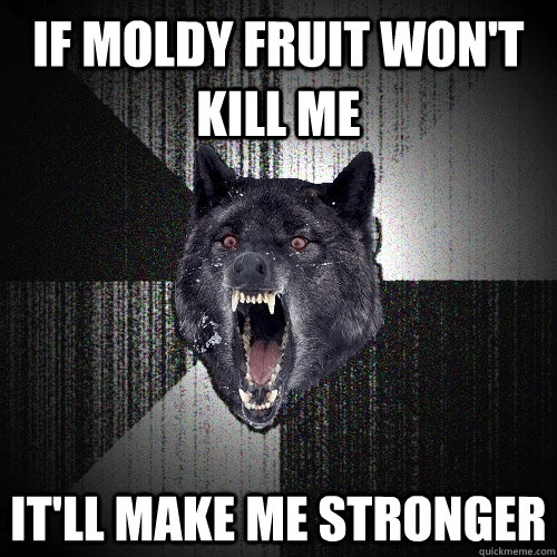 IF MOLDY FRUIT WON'T KILL ME IT'LL MAKE ME STRONGER  Insanity Wolf