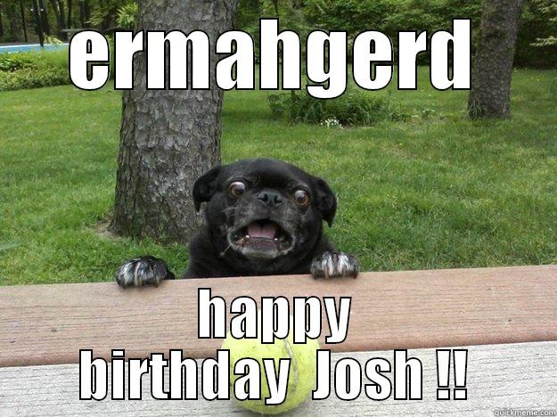 ERMAHGERD HAPPY BIRTHDAY  JOSH !! Berks Dog