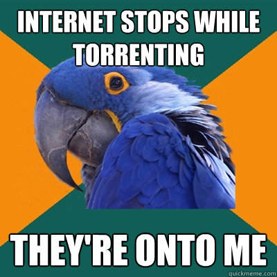 Internet stops while torrenting They're onto me  Paranoid Parrot