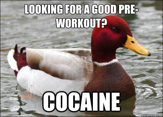 Looking for a good pre-workout?
 cocaine  Malicious Advice Mallard