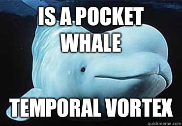 Is a pocket whale Temporal vortex  Misbehavin Pocket Whale