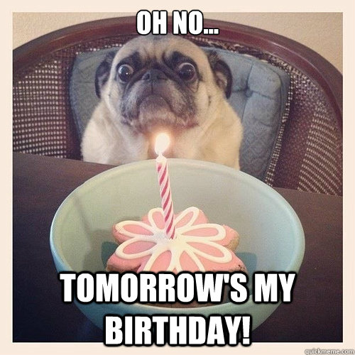 Oh no... Tomorrow's my birthday!  Scared birthday pug