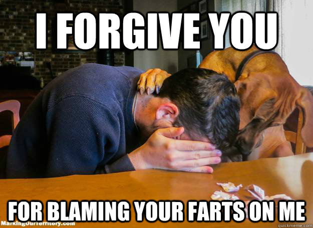 I forgive you  for blaming your farts on me - I forgive you  for blaming your farts on me  Consolation Dog