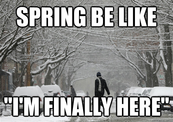 Spring Be Like 