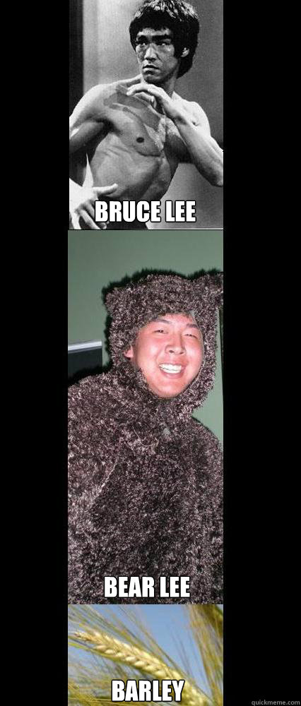 Bruce lee Bear lee Barley  