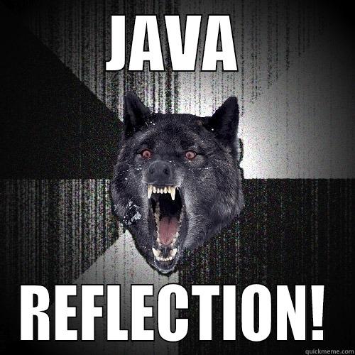 JAVA REFLECTION! Insanity Wolf