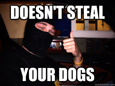 Doesn't Steal Your dogs  