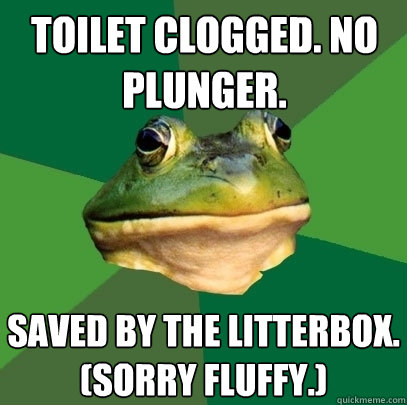 Toilet clogged. No plunger. Saved by the litterbox. (Sorry Fluffy.)  Foul Bachelor Frog