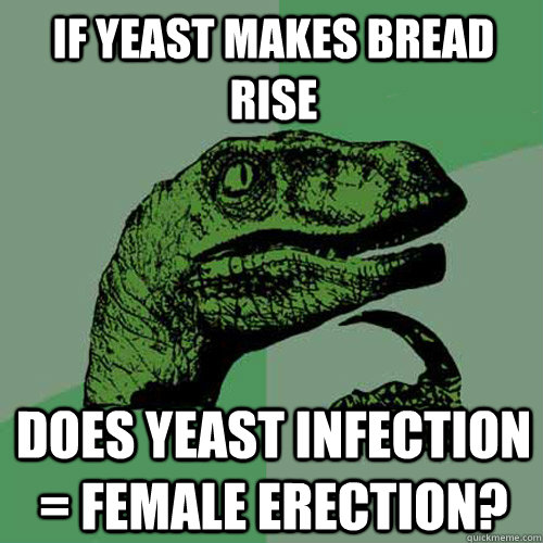If yeast makes bread rise does yeast infection = female erection?  Philosoraptor