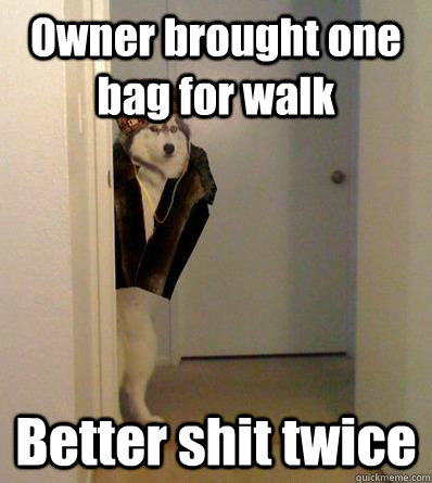 Owner brought one bag for walk Better shit twice  Scumbag dog