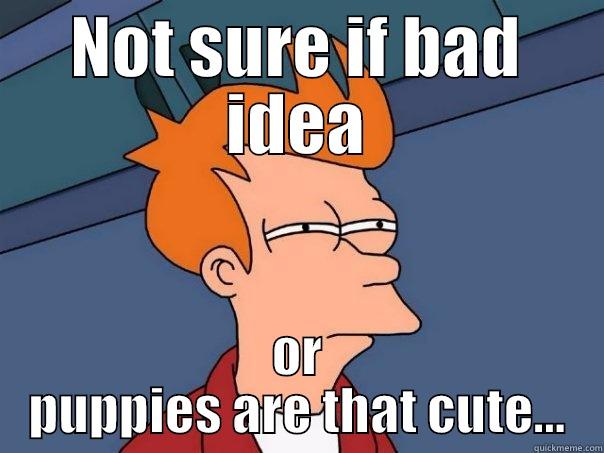 NOT SURE IF BAD IDEA OR PUPPIES ARE THAT CUTE... Futurama Fry
