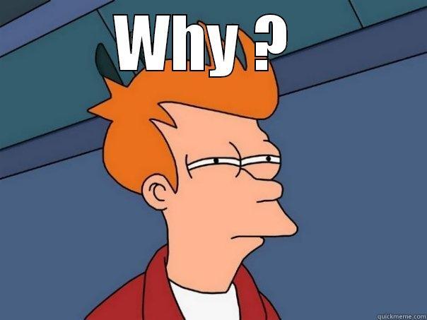 WHY ?   Futurama Fry