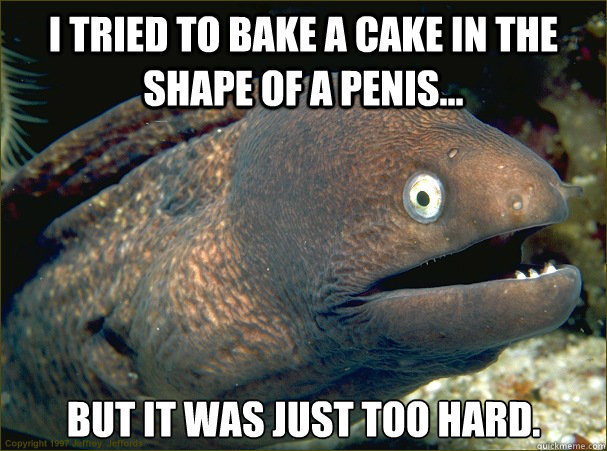 I tried to bake a cake in the shape of a penis... But it was just too hard.  Bad Joke Eel