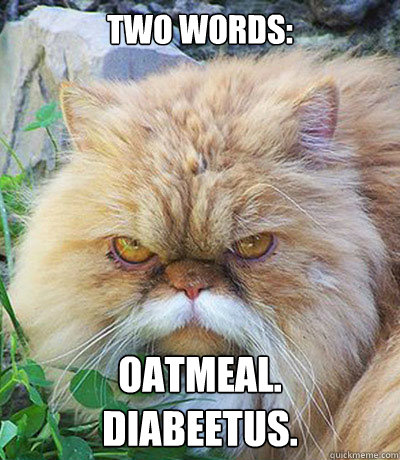 TWO WORDS: OATMEAL.
DIABEETUS.  Diabeetus Cat