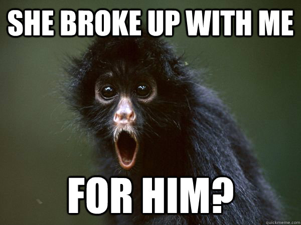 She broke up with me for him?  Surprised Spider Monkey