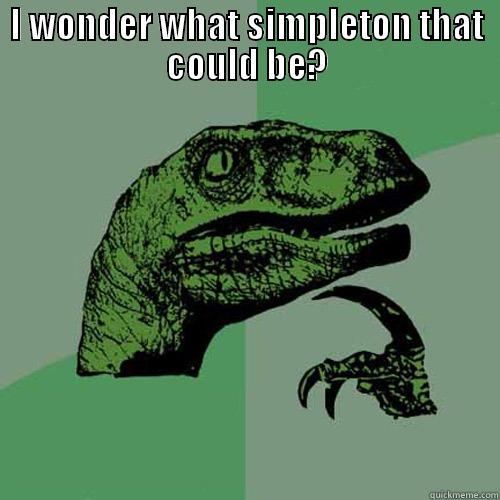 I WONDER WHAT SIMPLETON THAT COULD BE?  Philosoraptor