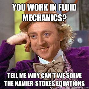 You work in fluid mechanics? Tell me why can't we solve the Navier-Stokes Equations  Condescending Wonka