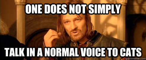 One does not simply talk in a normal voice to cats  One Does Not Simply