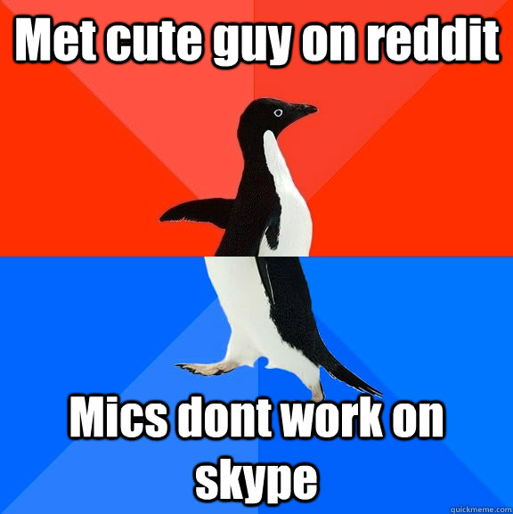 Met cute guy on reddit Mics dont work on skype  Socially Awesome Awkward Penguin