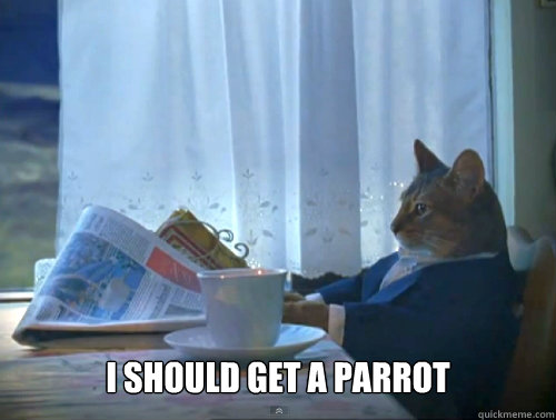  I should get a parrot -  I should get a parrot  The One Percent Cat