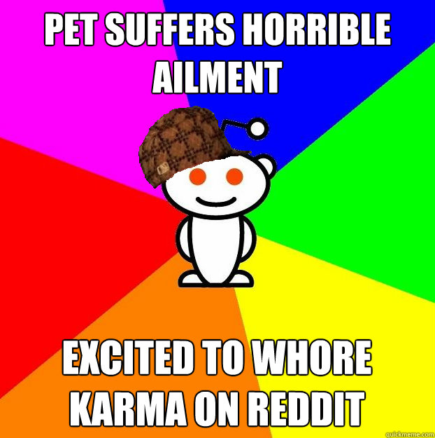 Pet Suffers horrible ailment Excited to whore karma on reddit  Scumbag Redditor