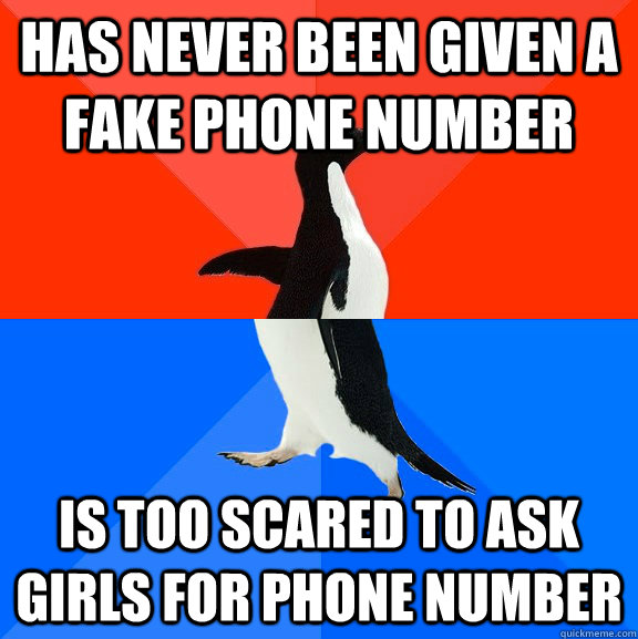 Has Never Been given a fake phone number Is too scared to ask girls for phone number   Socially Awesome Awkward Penguin
