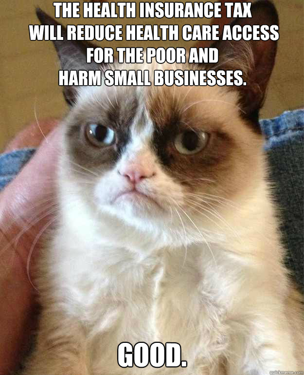 the health insurance tax
 will reduce health care access 
for the poor and 
harm small businesses. good. - the health insurance tax
 will reduce health care access 
for the poor and 
harm small businesses. good.  Misc