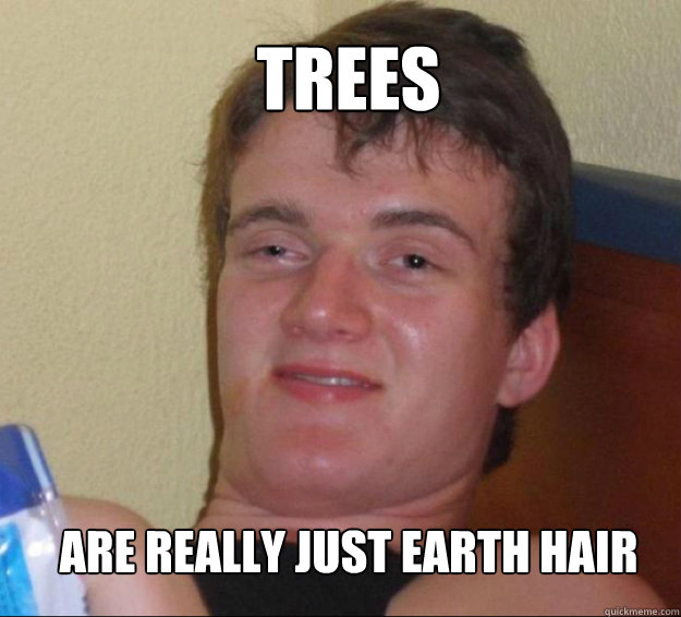 Trees Are really just earth hair  10guy