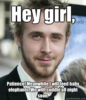 Hey girl, Patience! Meanwhile,I will feed baby elephants. We will  cuddle all night soon. - Hey girl, Patience! Meanwhile,I will feed baby elephants. We will  cuddle all night soon.  Misc