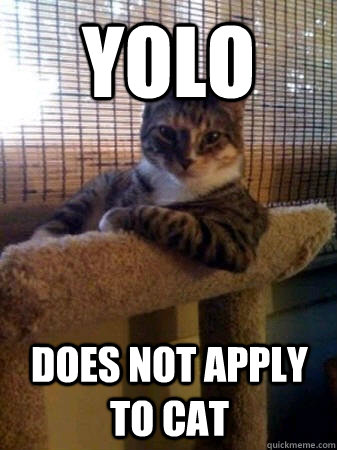 YOLO Does not apply to cat  The Most Interesting Cat in the World