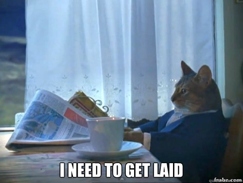  I need to get laid -  I need to get laid  Contemplative Breakfast Cat