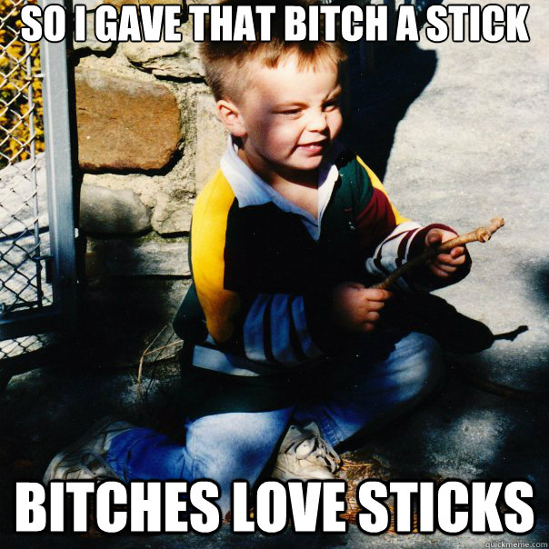 So i gave that bitch a stick bitches love sticks - So i gave that bitch a stick bitches love sticks  Bitches Love