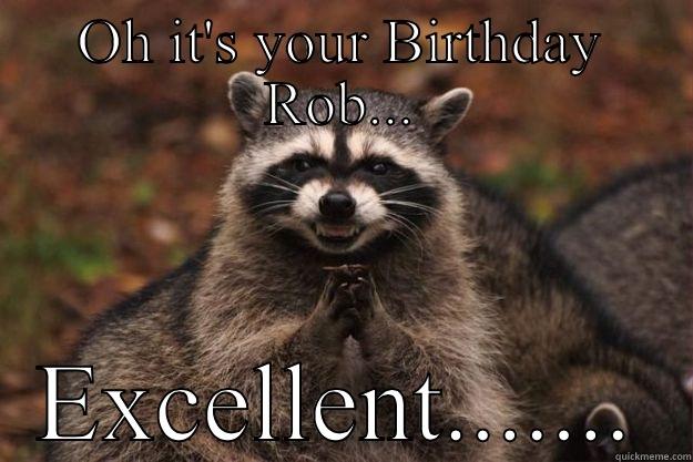 Rob's Evil Birthday Racoon - OH IT'S YOUR BIRTHDAY ROB... EXCELLENT....... Evil Plotting Raccoon
