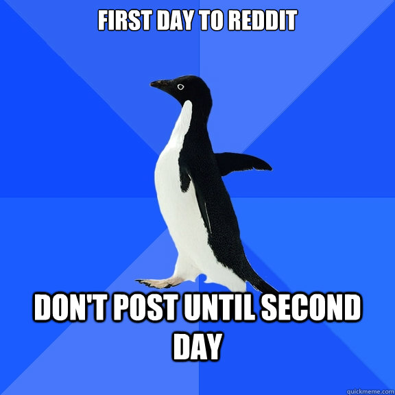 First day to reddit Don't post until second day  Socially Awkward Penguin