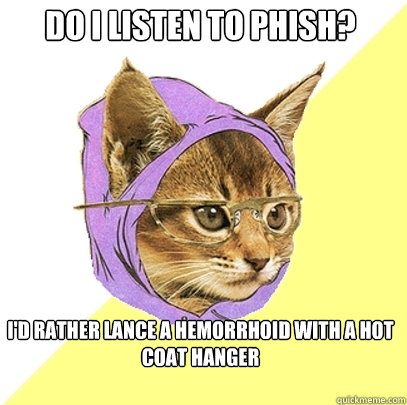 Do I listen to Phish? I'd rather lance a hemorrhoid with a hot coat hanger   Hipster Kitty