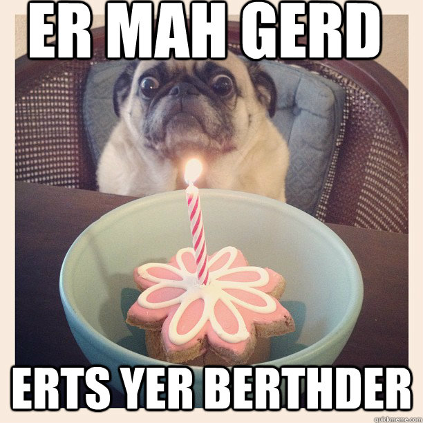 er mah gerd ERTS YER BERTHDER - er mah gerd ERTS YER BERTHDER  ermahgerd fire pug